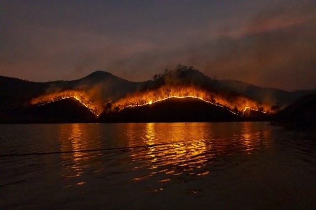 A wildfire at night