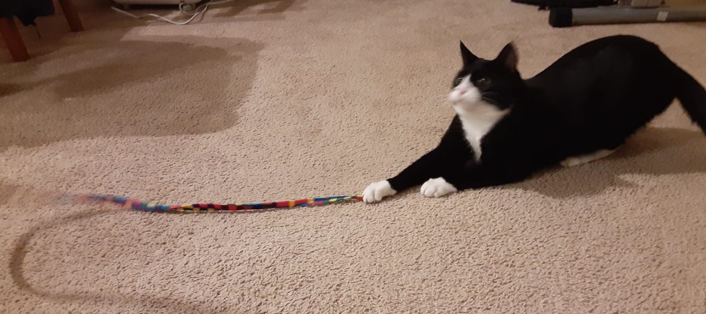 Benny attacking a colored string