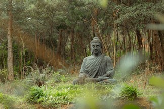 a statue of a serene Buddha in the forest