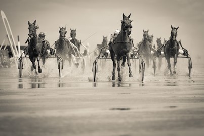 horses running, pulling carts