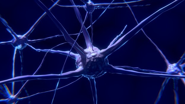 An artist's rendition of neurons and their connections