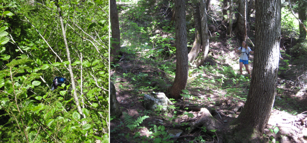 Two panels. The left panel shows a young woman bushwhacking through dense underbrush. The right panel shows the same woman happily walking through a clear section of forest.