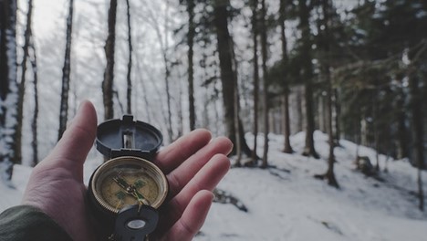 A hand holding out a compass in the forest.