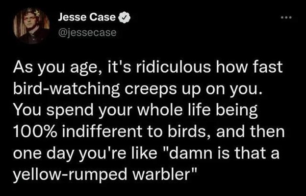 a twitter meme about birding that read, "As you age, it's ridiculous how fast bird-watching creeps up on you. You spend your whole life 100% indifferent to birds, and then one day you're like 'damn is that a yellow-rumped warbler'"