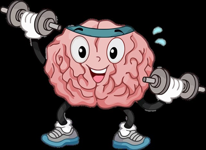 a cartoon brain lifting weights