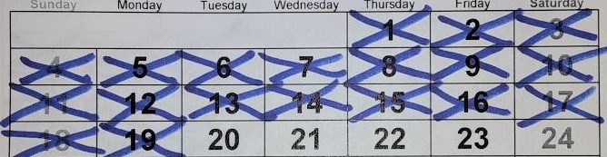 a calendar with Xs marking days when I meditated