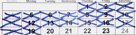 a calendar with Xs on each day