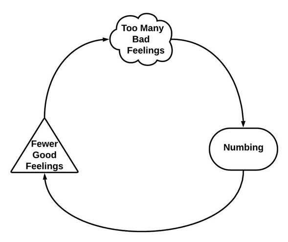 a feedback loop showing how numbing reduces good feelings, leading to a sense that you have too many bad feelings