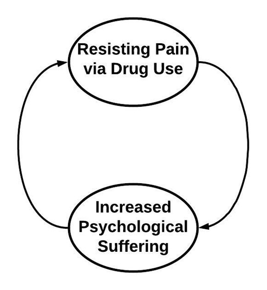 a feedback loop showing resistance leading to increase suffering