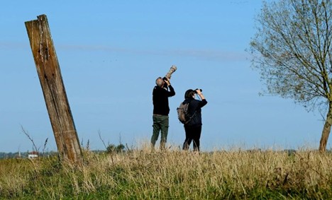 two people bird watching