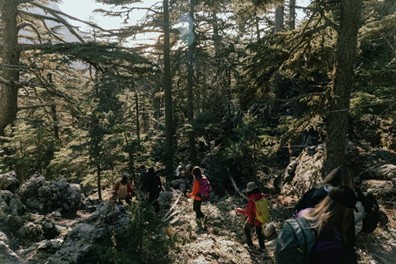 a group of friends hiking through a forest
