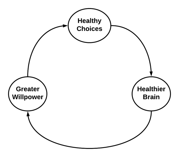 a feedback loop showing how a healthier brain leads to greater willpower, making healthier choices easier