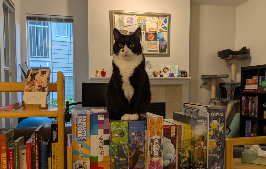 our cat Benny standing on top of our board games